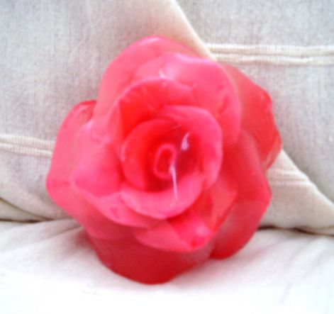 p5290263.jpg p5290263.jpg